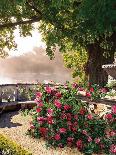 Serene Garden Photography Backdrop - A peaceful garden photography backdrop featuring pink roses, a large tree, and a sunrise over a tranquil river.