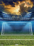 Soccer Goal in Stadium Photography Backdrop - A soccer goal on a green field in a stadium under a dramatic sunset sky, used as a photography backdrop for sports-themed photoshoots.