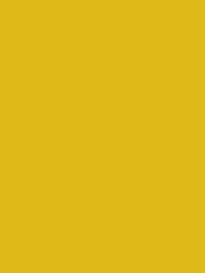 Solid color sample of lemon yellow seamless photography backdrop paper for professional studio use.
