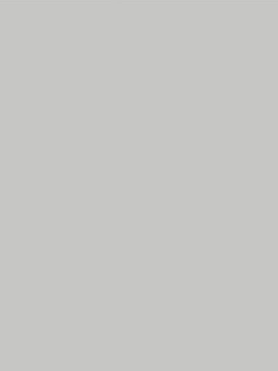 Solid color sample of light gray seamless photography backdrop paper for professional studio use.