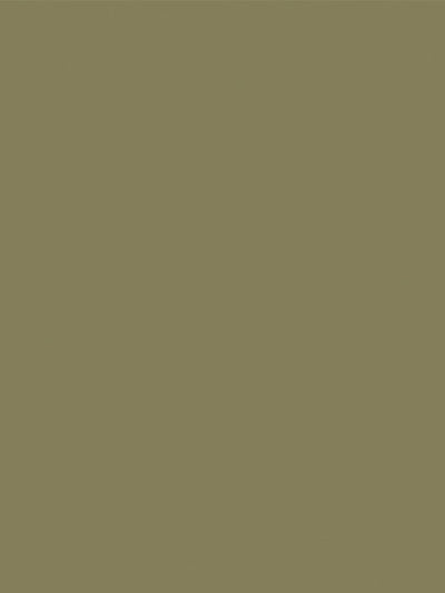 Solid color sample of moss green seamless photography backdrop paper for professional studio use.