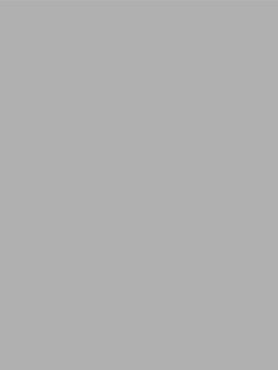 A full-color sample of oyster gray seamless photography backdrop paper, ideal for professional studio use.
