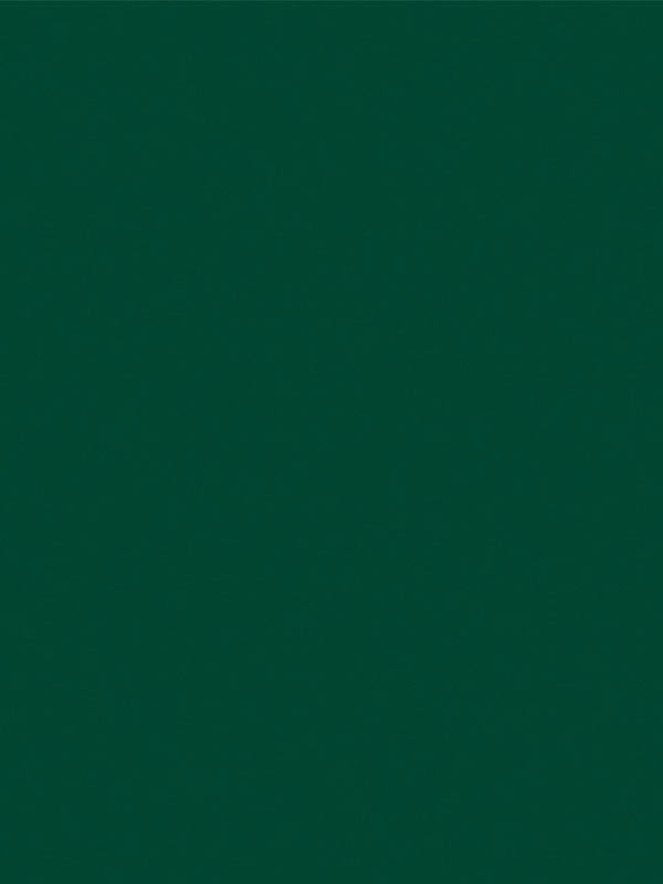 A full-color sample of pine green seamless photography backdrop paper, perfect for professional studio use.