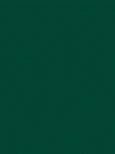 A full-color sample of pine green seamless photography backdrop paper, perfect for professional studio use.