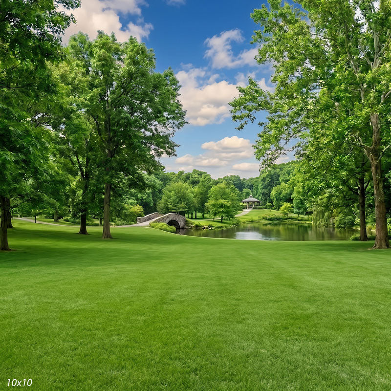 Wider view of the park showing a second framing tree and a broader view of the pond, stone bridge and gazebo, a scenic photography backdrop.
