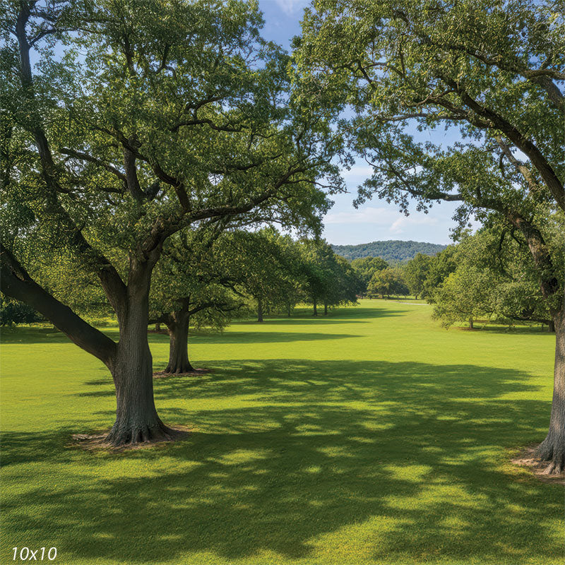 A photography backdrop featuring a large oak tree trunk and a sprawling green lawn. The sunny park scene includes blue skies and distant trees.