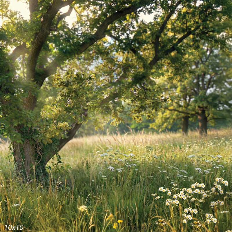 This studio background features a sunlit meadow with layered grasses, scattered wildflowers, and an arching tree canopy used as a photography backdrop.