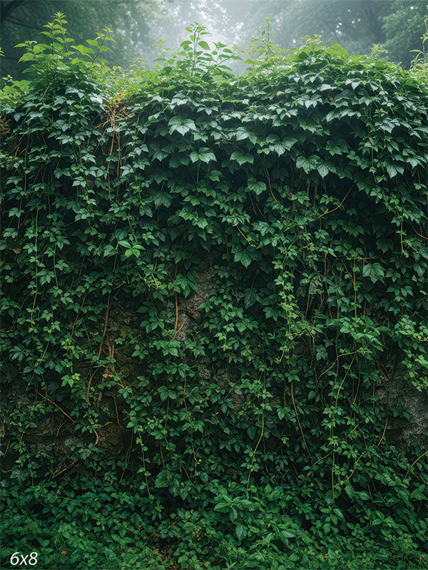 Printed photography backdrop showing a dense wall of ivy leaves and trailing vines in deep green tones. The foliage texture fills the frame behind a subject.