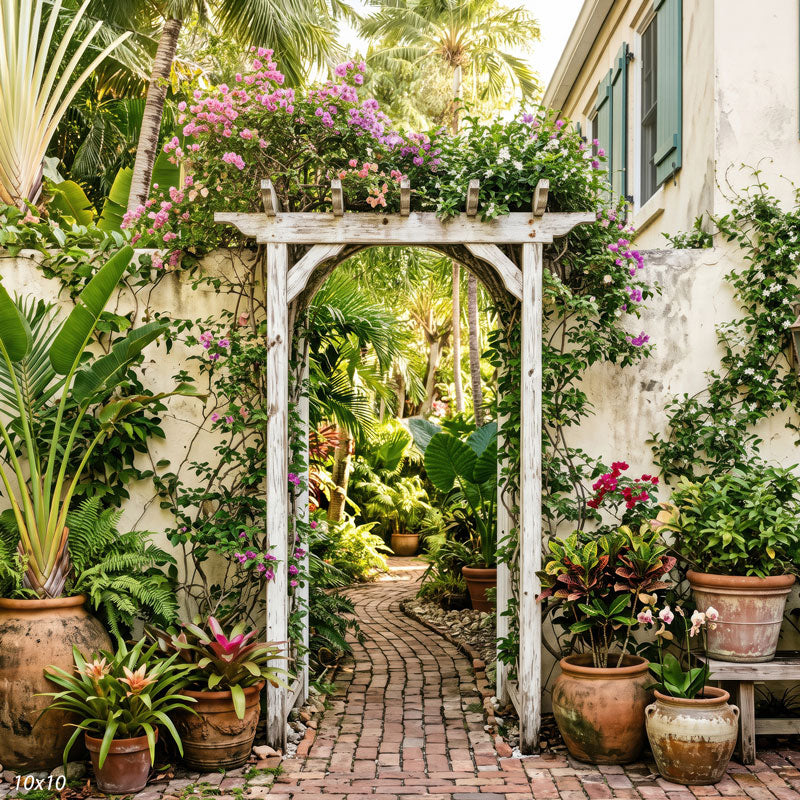 Wider view of the tropical garden showing the full bougainvillea-crowned arbor, a shuttered house wall and more palms and potted plants, a scenic photography backdrop.