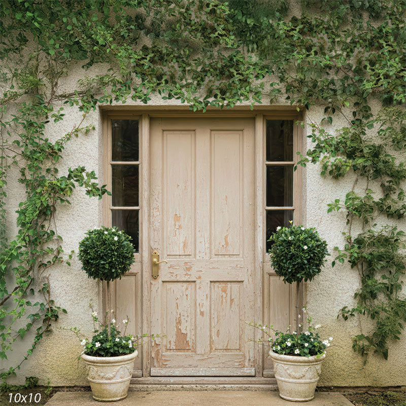 A wider view of a photography backdrop featuring a worn beige cottage door, surrounding stucco wall, climbing vines, and matching topiary planters. The layout provides a full garden-style scene for studio portraits.