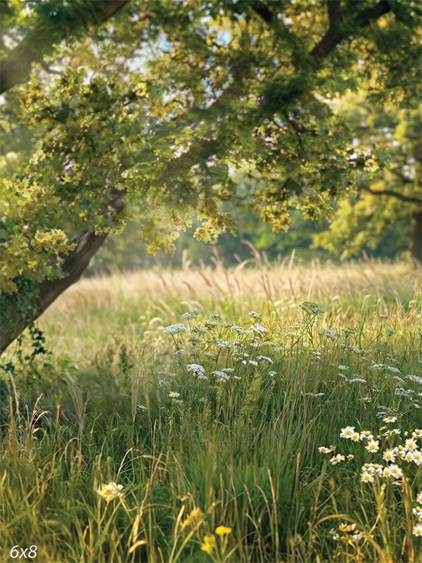 A photography backdrop showing tall meadow grasses, white wildflowers, and a mature tree with filtered sunlight creating a natural studio background.