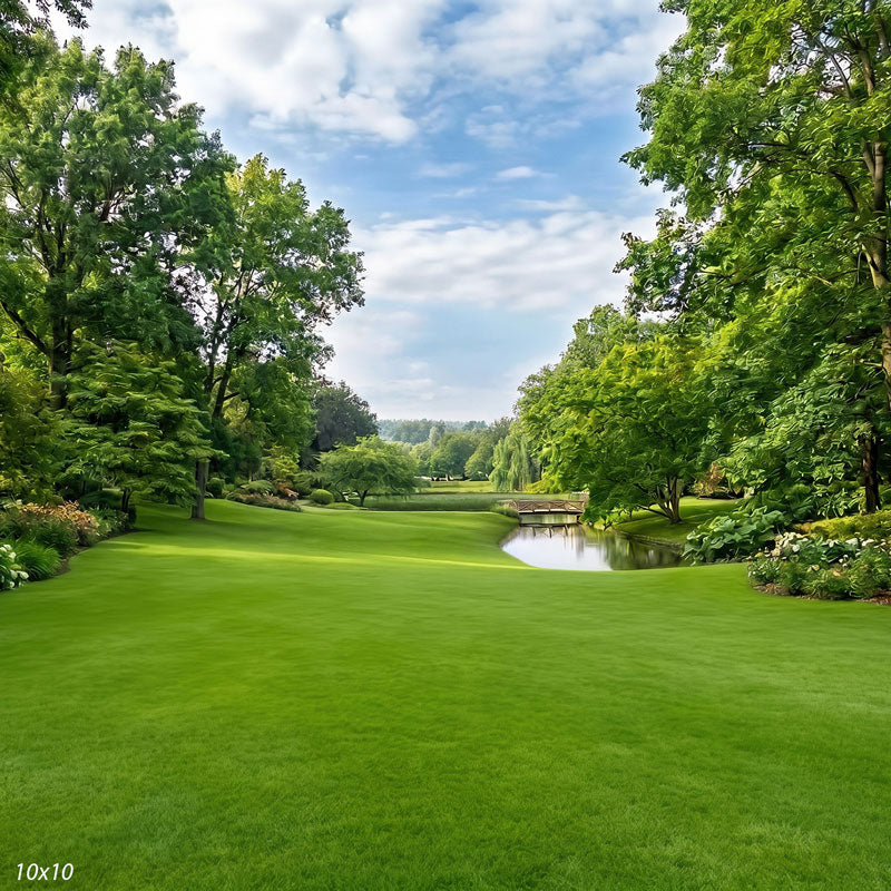 Wider view of the park showing more flanking trees and shrub borders and a fuller view of the pond and bridge, a scenic photography backdrop.