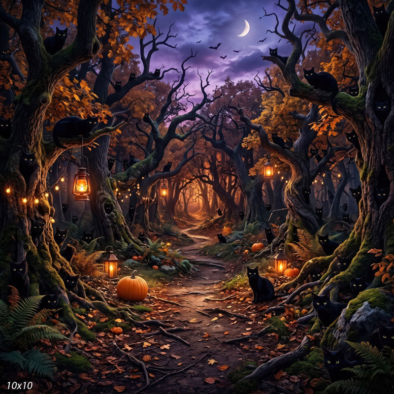 Wider view of the enchanted Halloween forest, showing more lanterns, pumpkins, and black cats along the path, a whimsical photography backdrop.