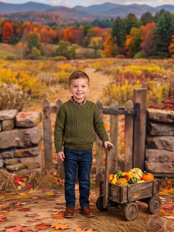 Autumn mountain meadow rustic gate photography backdrop shown in a fall studio portrait with a young boy in a green sweater beside a wooden wagon of gourds CP-9033