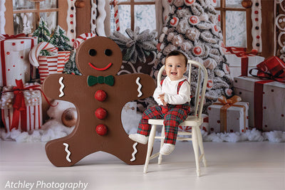Christmas photography backdrop featuring a gingerbread house and holiday treats.