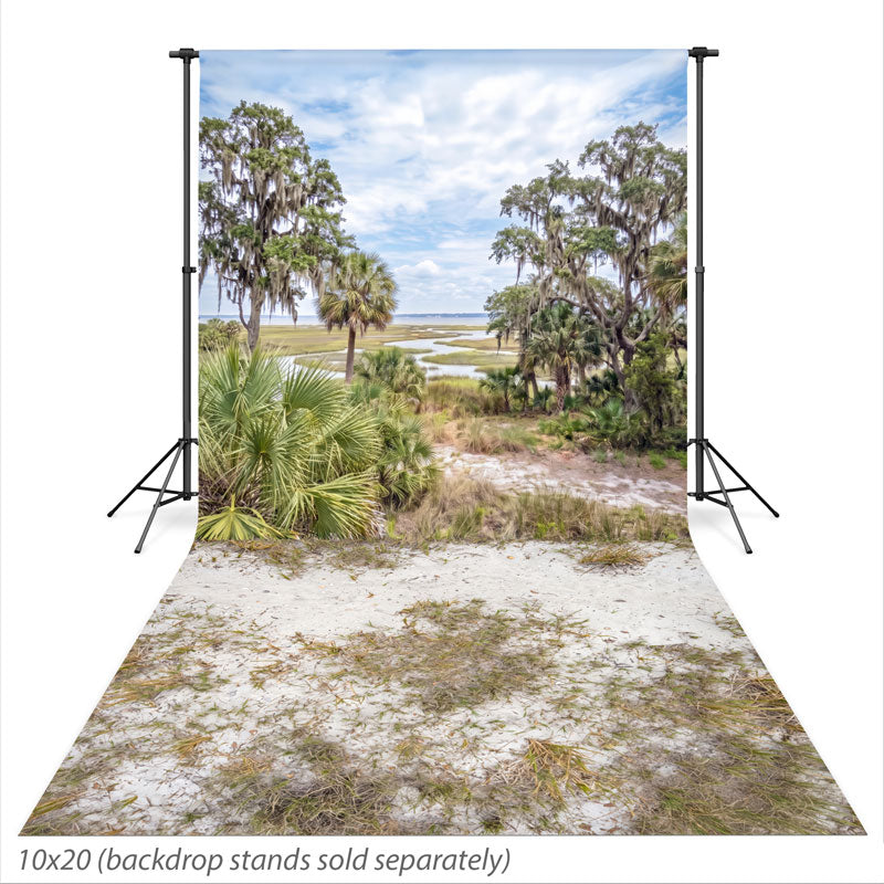 Saltmarsh Coastal Marsh Palmetto Creek photography backdrop shown extending down onto the studio floor CP-9043