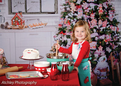 Gingerbread Christmas Kitchen Printed Backdrop