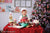 Gingerbread Christmas Kitchen Printed Backdrop