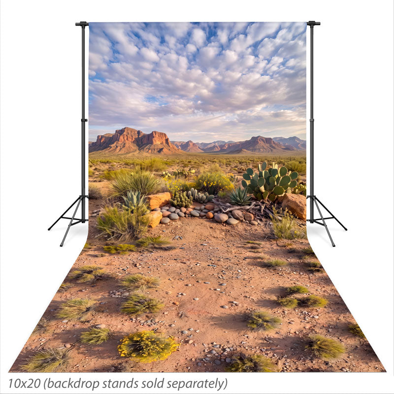 Red Mesa Desert Red Rock and Cactus photography backdrop shown extending down onto the studio floor CP-9044