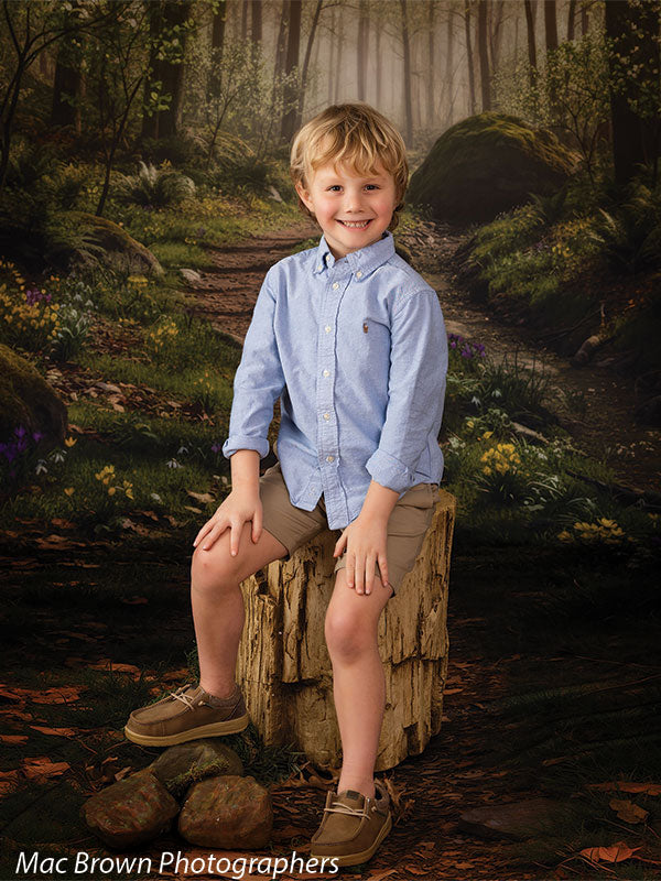 Smiling young boy with blonde hair wearing a light blue button-down shirt, khaki shorts, and brown loafers, seated on a tree stump in front of a fern hollow misty forest path photo backdrop with soft greenery, moss-covered rocks, and filtered woodland light.