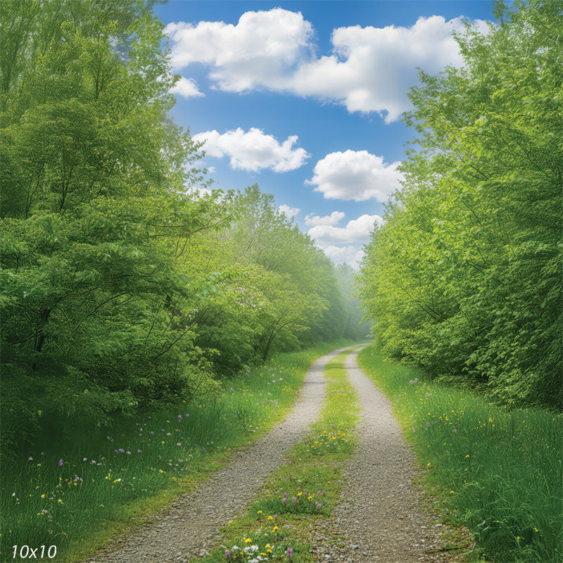 An immersive view of a leafy forest corridor with a curving gravel road, soft wildflowers, and a clear sky filled with puffy white clouds.