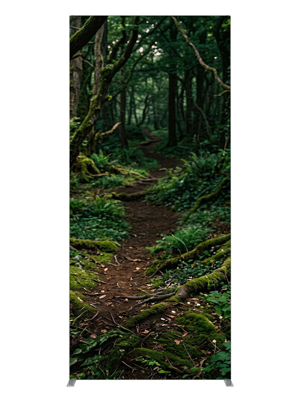 A dirt path winding into a dense, moss-covered forest with ferns and filtered light, 3ft photography backdrop panel for Denny StudioEdge silicone edge frame