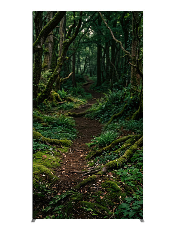 A dirt path winding into a dense, moss-covered forest with ferns and filtered light, 4ft photography backdrop panel for Denny StudioEdge silicone edge frame