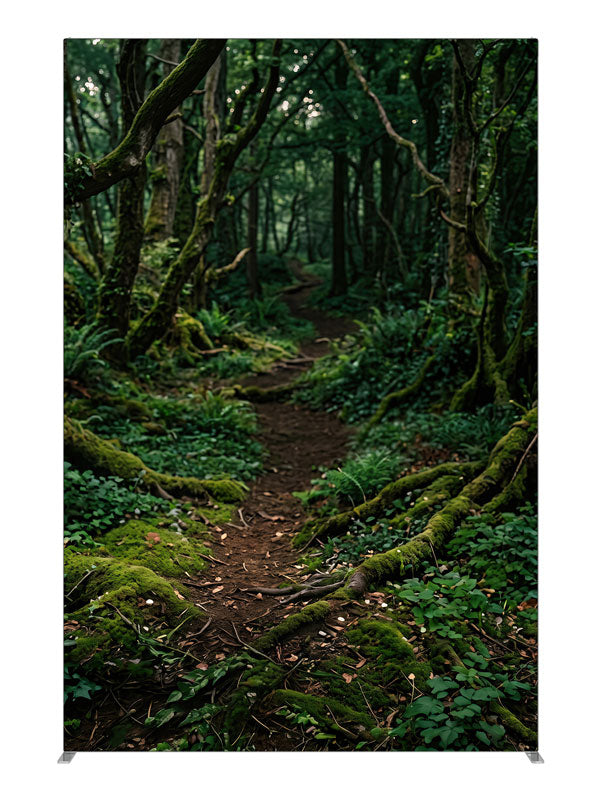 A dirt path winding into a dense, moss-covered forest with ferns and filtered light, 5ft photography backdrop panel for Denny StudioEdge silicone edge frame
