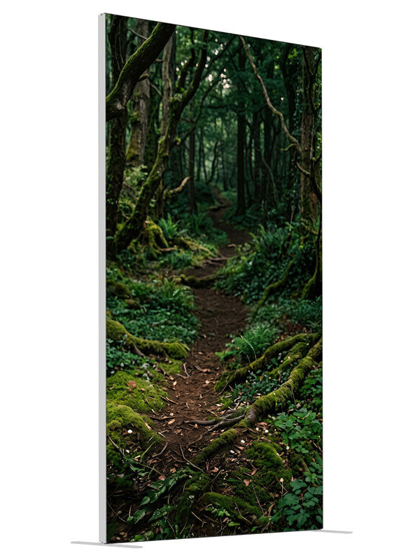 A dirt path winding into a dense, moss-covered forest with ferns and filtered light, 4ft photography backdrop panel for Denny StudioEdge silicone edge frame, angled view