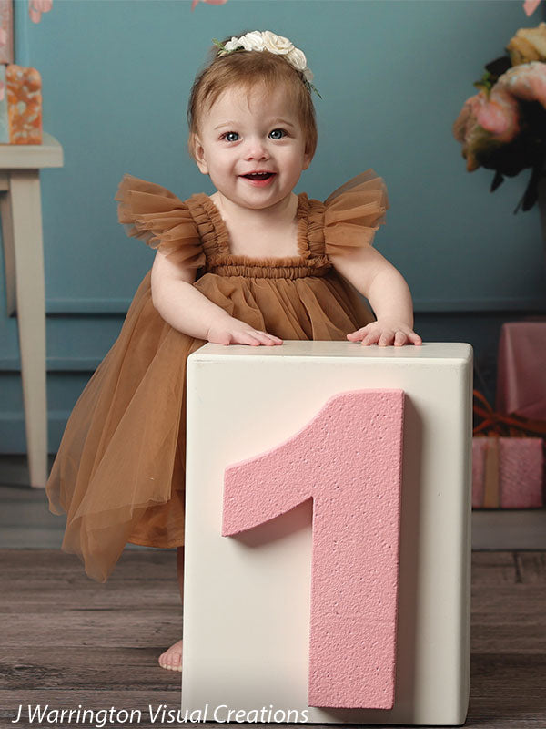 Baby girl in brown dress celebrating her first birthday in front of Peach Balloon Bliss Cake Smash Backdrop with large pink number one block.