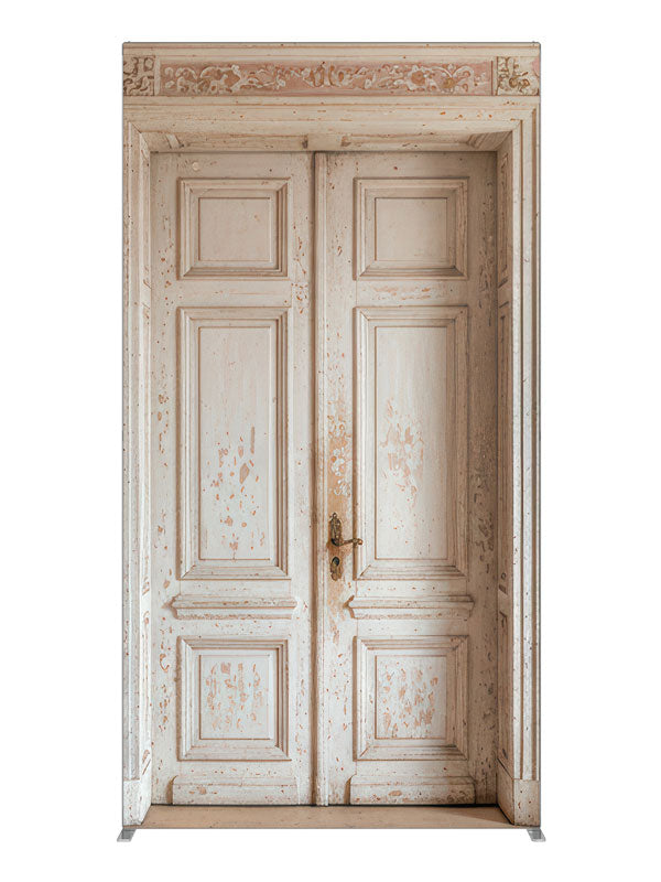 Pink Paneled Wall Double Door, photography backdrop panel for Denny StudioEdge silicone edge frame, 4 ft