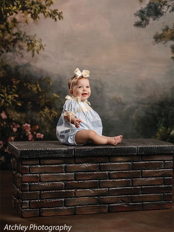 Rose Haze ethereal rose garden photography backdrop shown with a baby girl in a blue romper seated on a brick riser CP-8958
