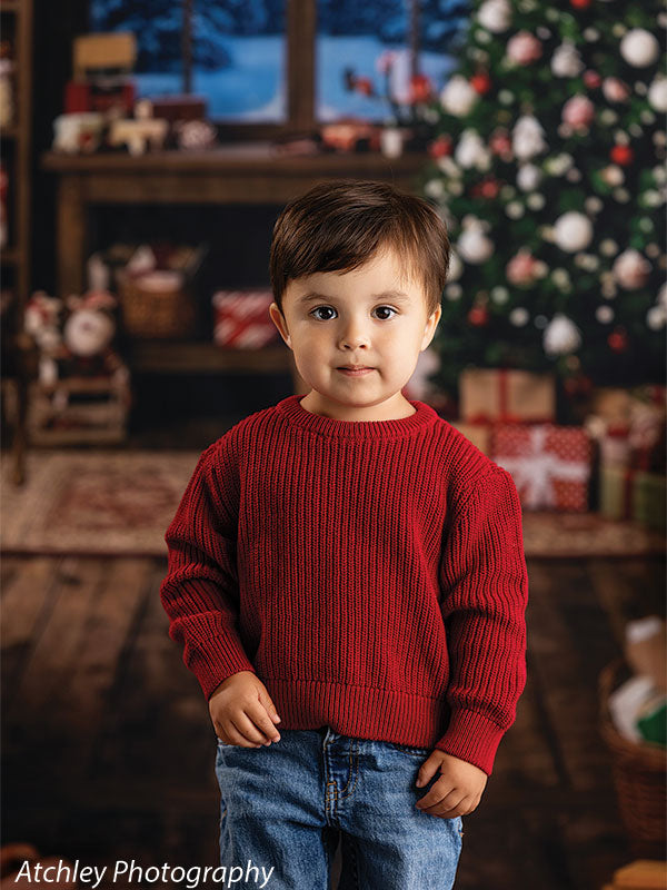 Sugar Workshop Santa's workshop interior photography backdrop shown with a toddler boy in a red sweater and jeans standing in the workshop CP-8910