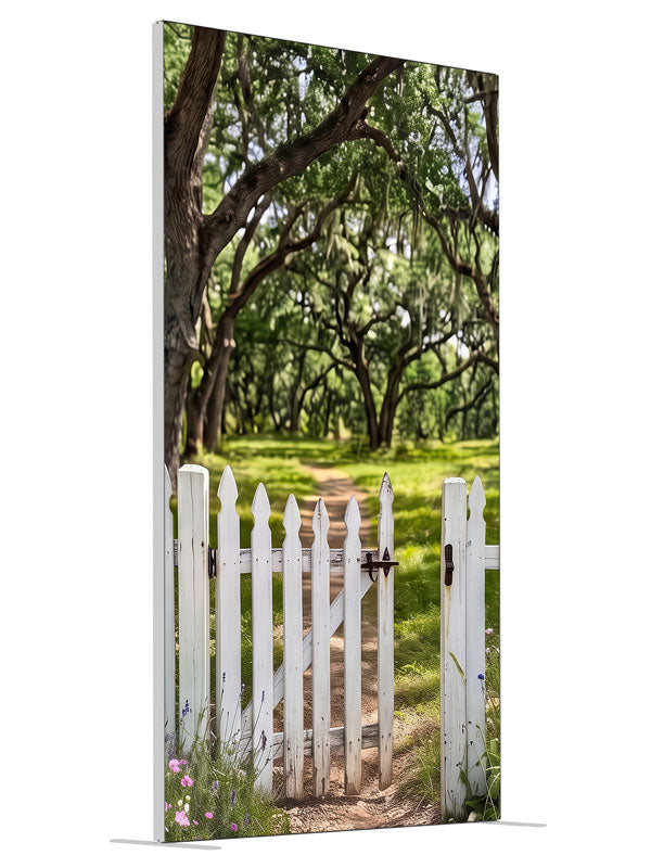 Open white picket gate in a low fence with a dirt path leading into a moss-draped live oak grove, 4ft photography backdrop panel for Denny StudioEdge silicone edge frame, angled view