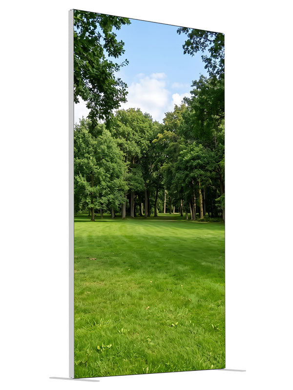 A shaded park clearing of flat lawn framed by two large trees with woodland behind, 4ft photography backdrop panel for Denny StudioEdge silicone edge frame, angled view