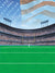 Green football field with centered goalposts, stadium crowd, and American flag in the sky.