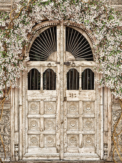 Antique Floral Doorway Photography Backdrop - A beautifully carved antique wooden door framed by lush floral vines, used as a photography backdrop.