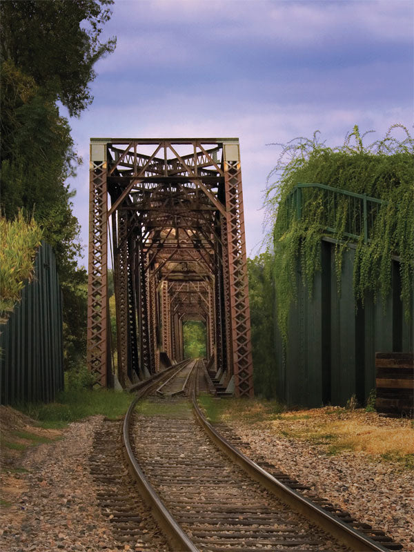 Curved train tracks leading into a steel bridge with greenery and industrial texture.