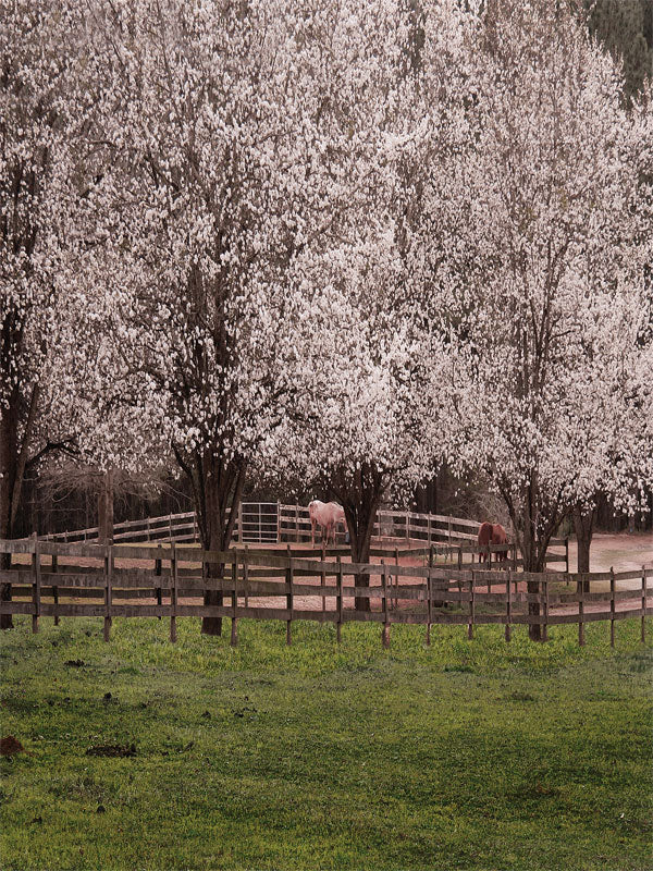 Scenic spring ranch with white-blossomed trees, horses, and rustic fencing in a lush pasture.