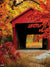 Autumn Covered Bridge Photography Backdrop - A rustic autumn scene photography backdrop featuring a classic red covered bridge surrounded by vibrant fall foliage in shades of orange and yellow.