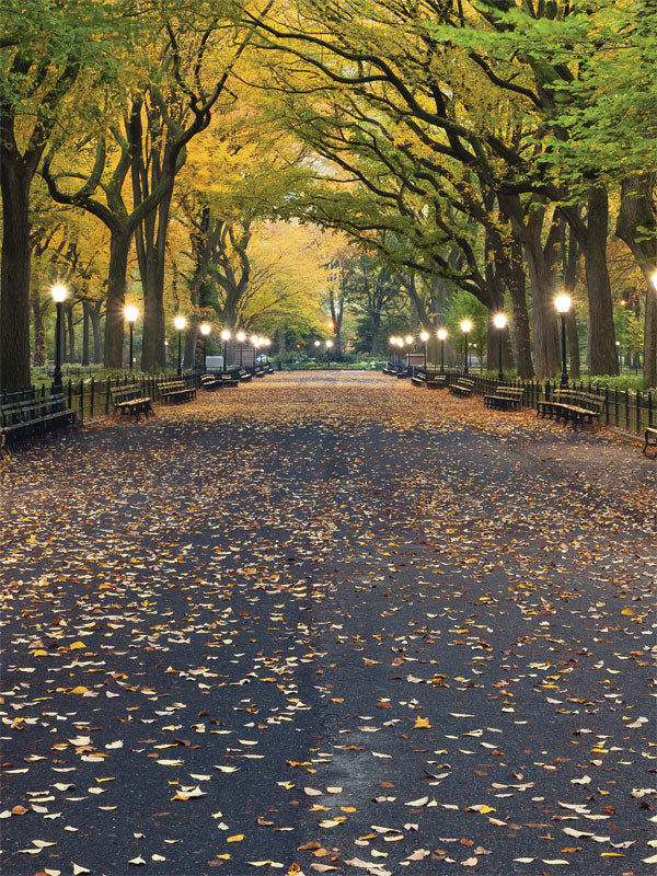 Autumn Park Path Photography Backdrop - Photography backdrop featuring an autumn park path lined with trees and scattered fall leaves, illuminated by lamplights.