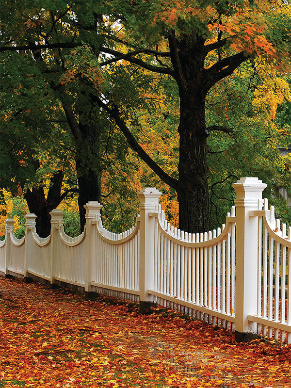 Autumn White Fence Photography Backdrop - Autumn-themed photography backdrop with a white fence, vibrant fall leaves, and green trees, perfect for seasonal photoshoots.