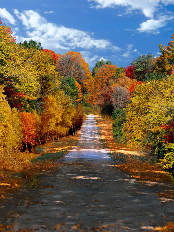 A vibrant fall photography backdrop showcasing a winding road lined with colorful autumn trees and scattered leaves.