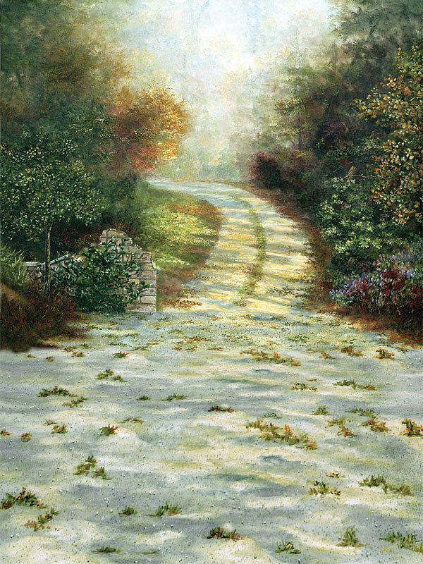 A scenic woodland photography backdrop featuring a sunlit pathway with rich autumn foliage, ideal for seasonal portraits and fine art photography.