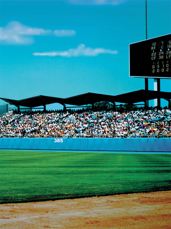 Baseball stadium photography backdrop with a packed crowd, lush green field, and scoreboard, perfect for sports-themed portraits.