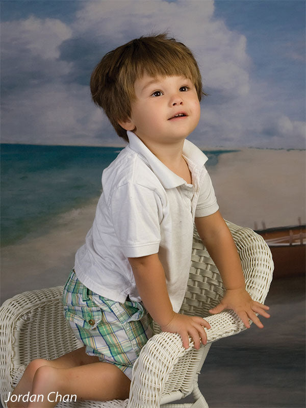 Wide view of shoreline meeting calm green-blue water under soft clouds.