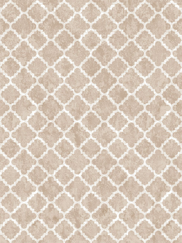 Beige Moroccan Quatrefoil Photography Backdrop - Beige Moroccan quatrefoil pattern photography backdrop, ideal for professional use in various photography scenarios.