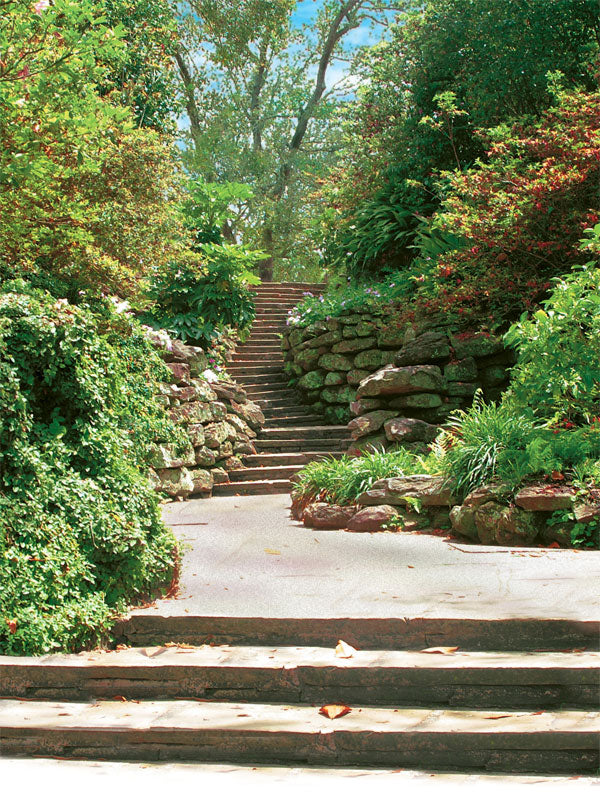 A lush garden photography backdrop featuring a stone pathway surrounded by greenery and vibrant foliage, ideal for nature-inspired and wedding portraits.