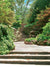 A lush garden photography backdrop featuring a stone pathway surrounded by greenery and vibrant foliage, ideal for nature-inspired and wedding portraits.