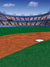 Baseball stadium photography backdrop featuring a vibrant green field, dirt infield, and home plate, ideal for professional sports photoshoots.